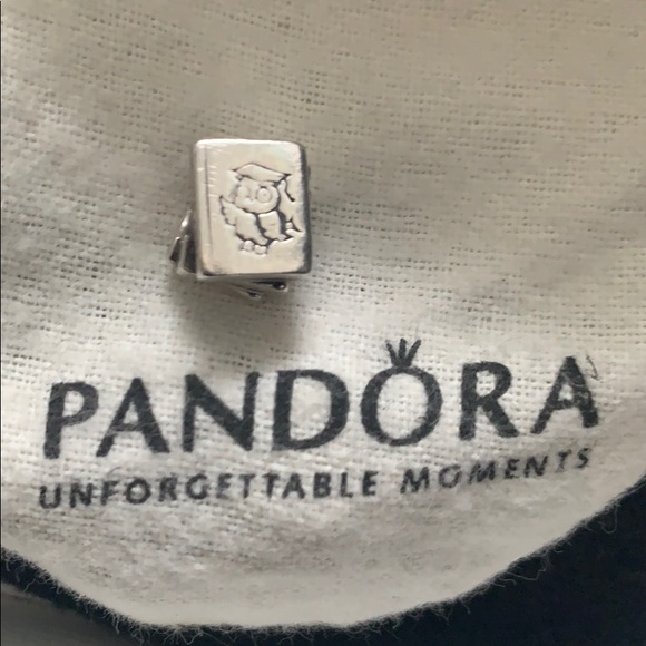 Pandora charm - Picture 1 of 2